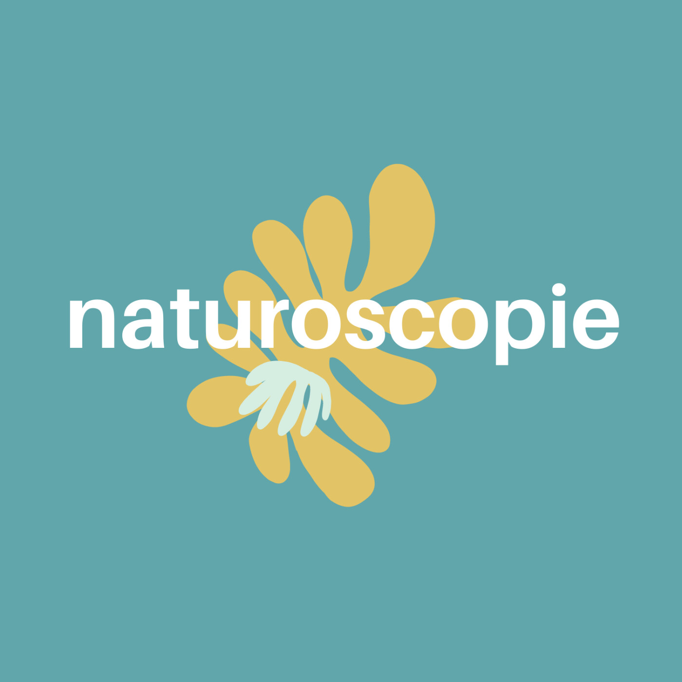 Flora Artiste Poétique et Floristique