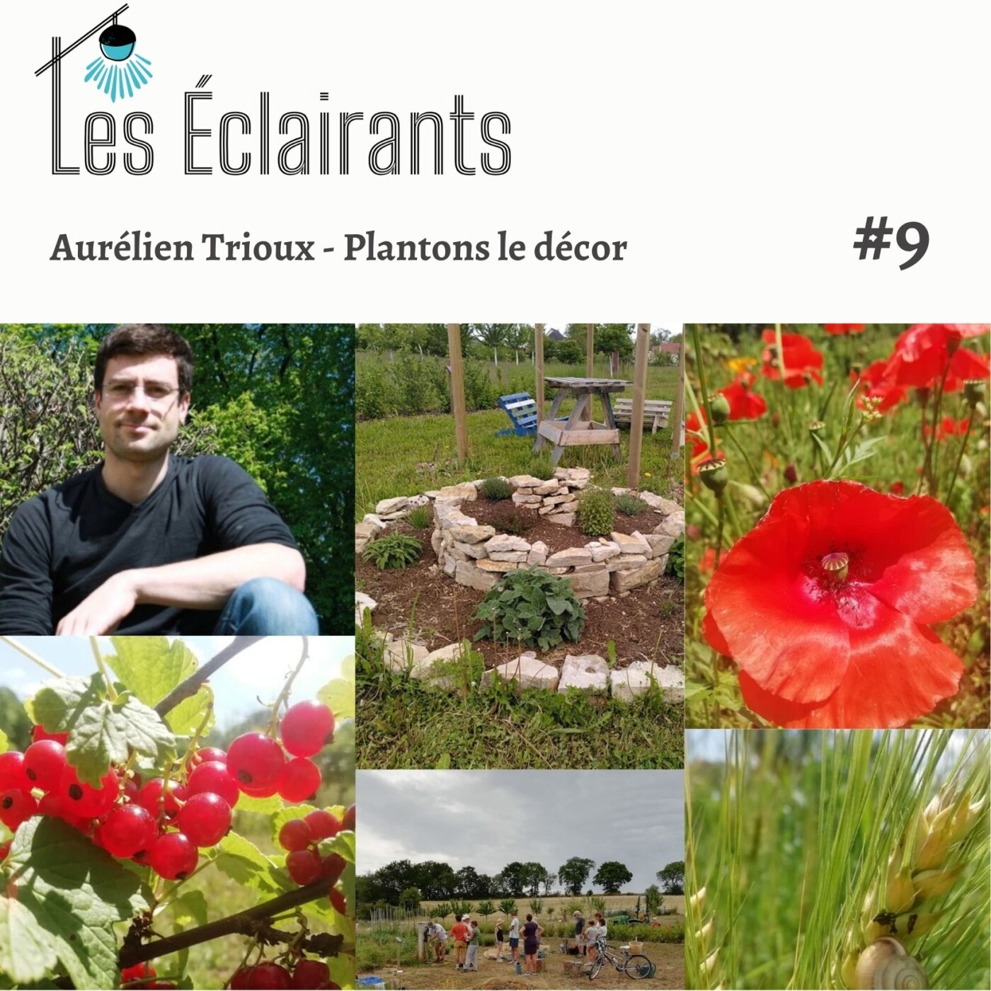 Les Eclairants