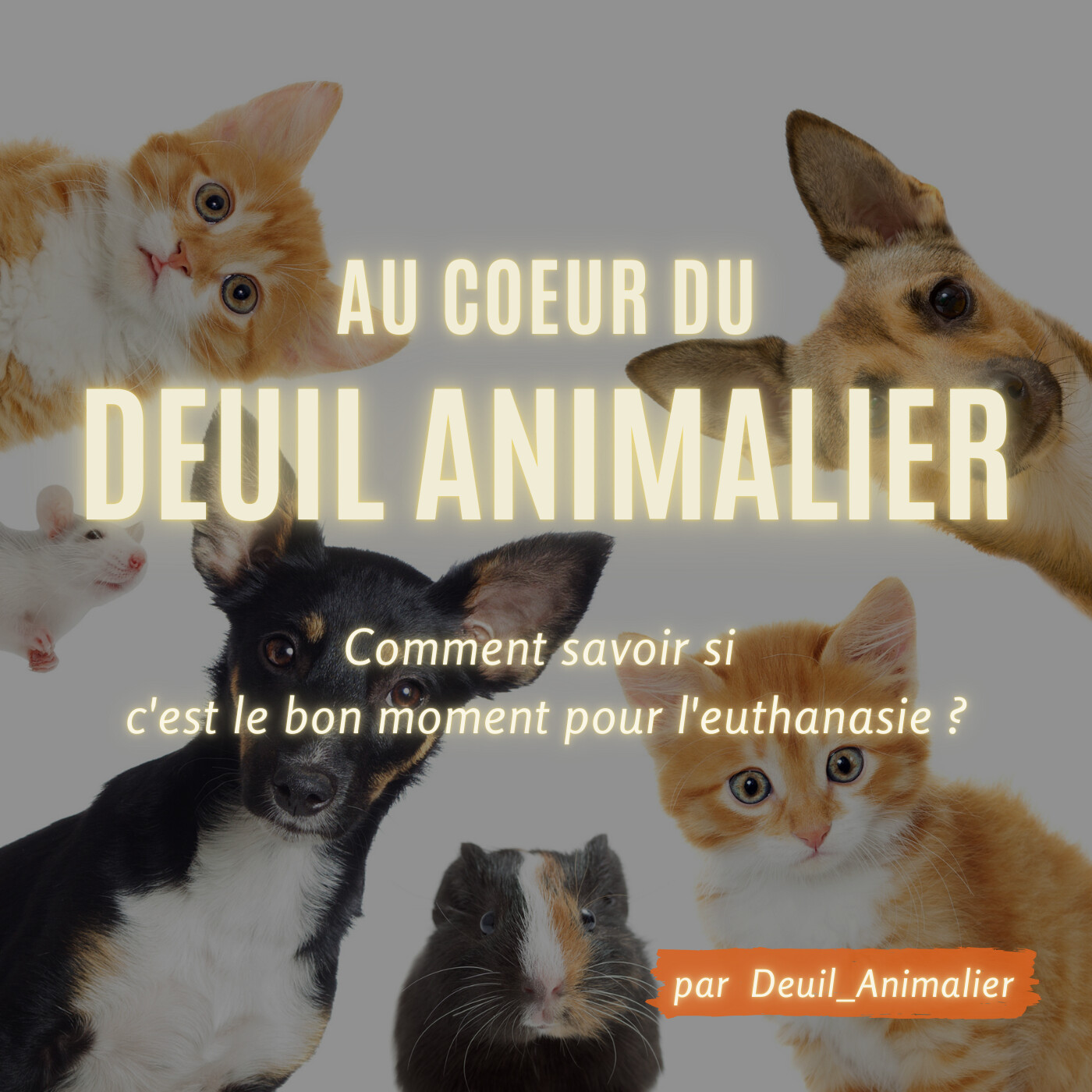 Au cœur du deuil animalier