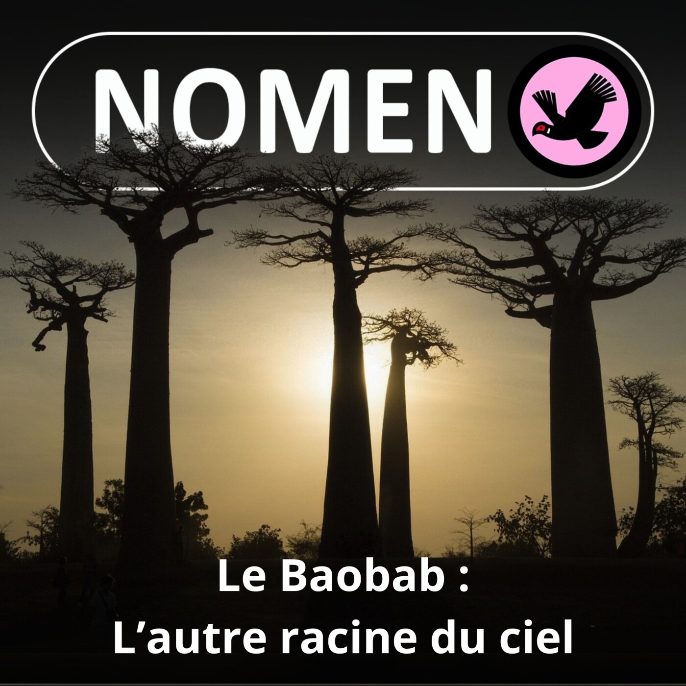 Nomen