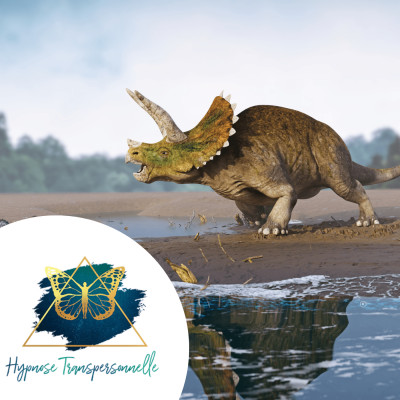 Hypnose Transpersonnelle® 228 : Animal Préhistorique, Lingère du Moyen-Age, Infini au-delà du Temps cover