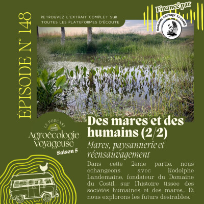#148 Des Mares et des Humains 🦉 Mares, paysannerie et réensauvagement cover