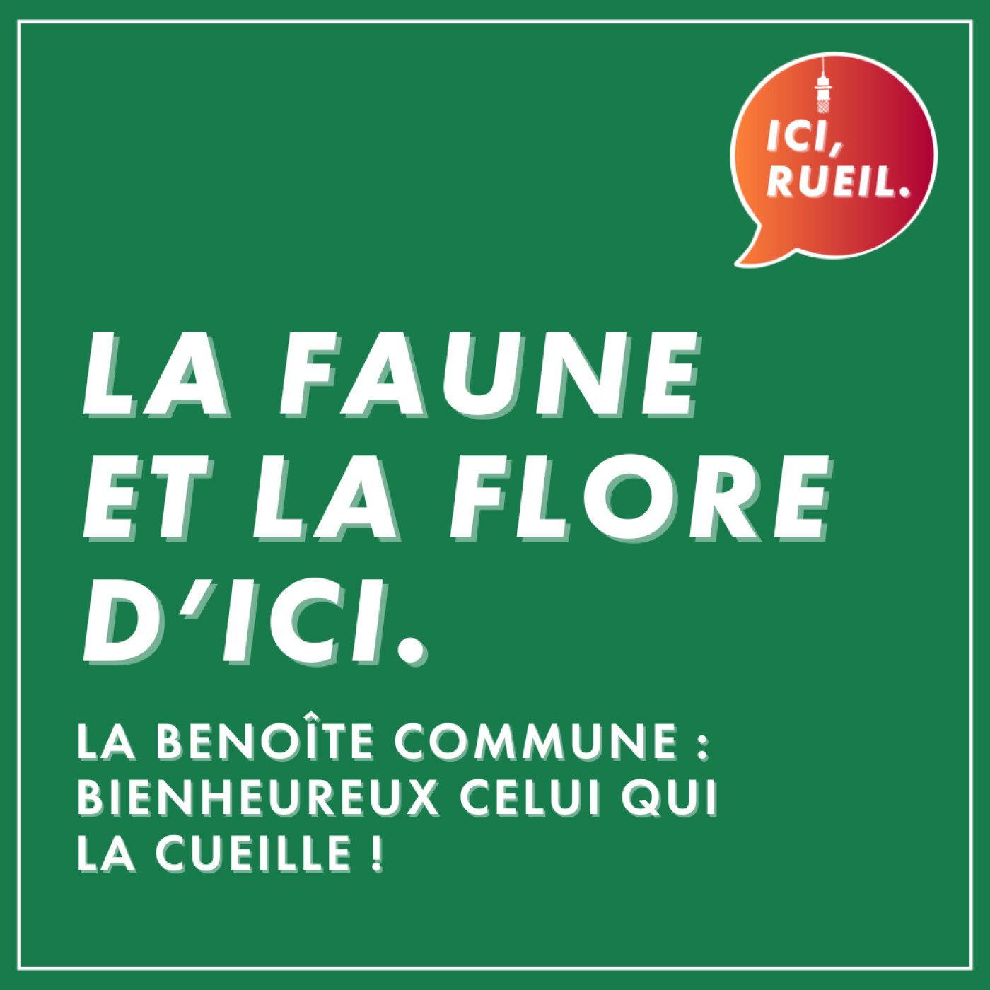 La Faune et la Flore d'Ici : La benoîte commune, bienheureux celui qui la cueille ! episode artwork