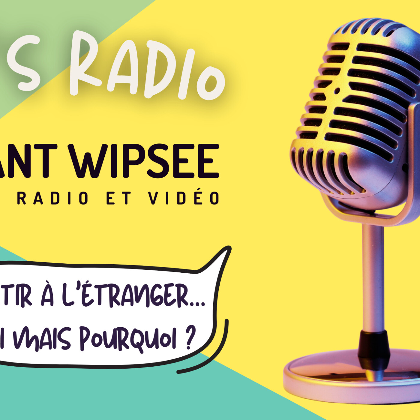 Épisode 6 - Partir à l'étranger... Oui mais pourquoi ? episode artwork