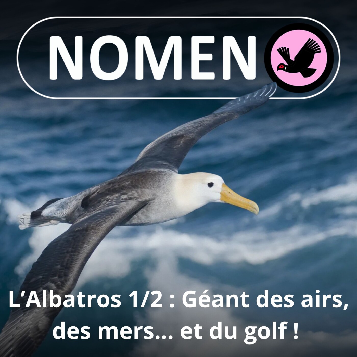 S05E02 L'Albatros : Un géant des airs, des mers... et du golf !