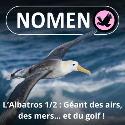 S05E02 L'Albatros : Un géant des airs, des mers... et du golf ! cover