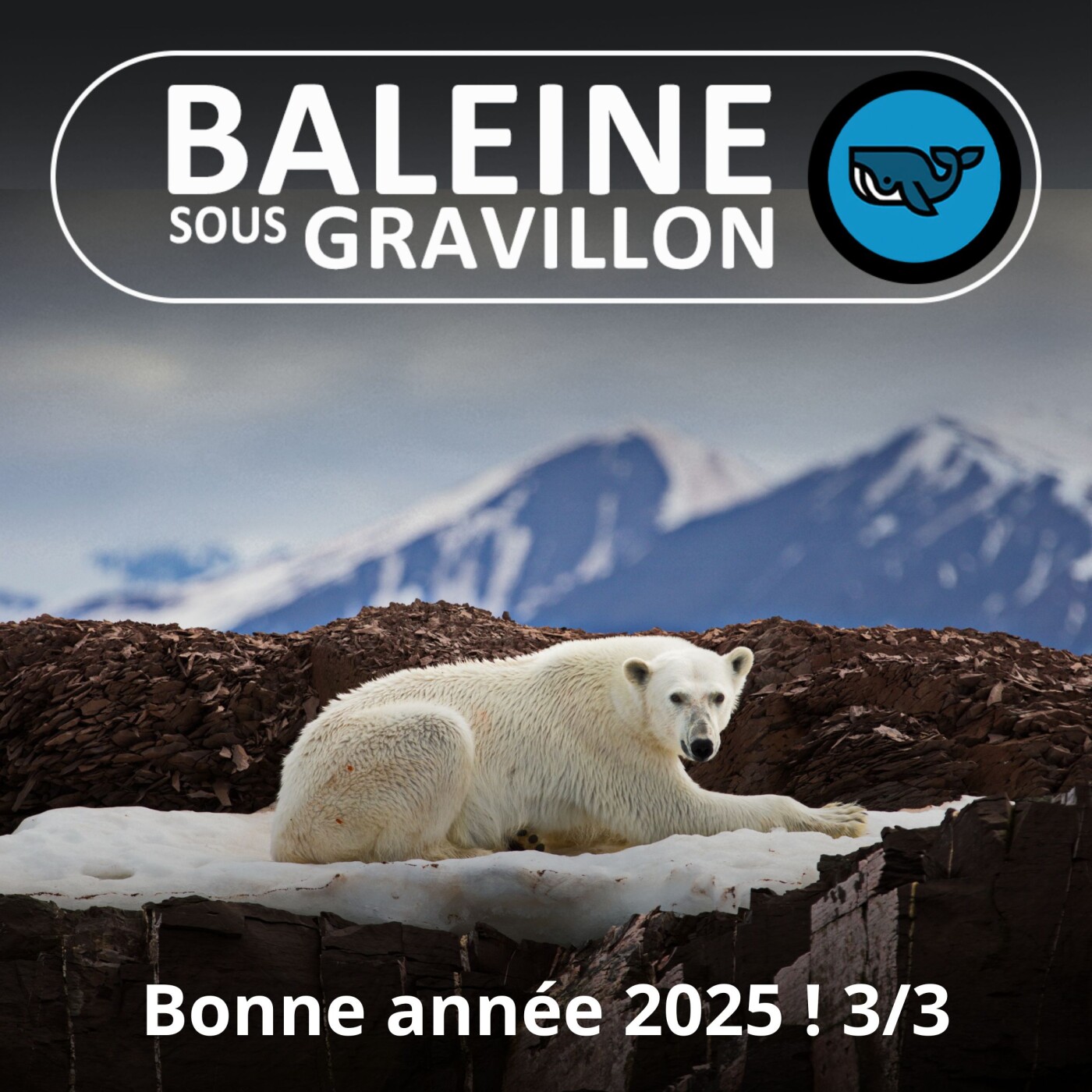 Baleine sous 2025 (3/3) : meilleurs vœux... à nos colocataires non-humains