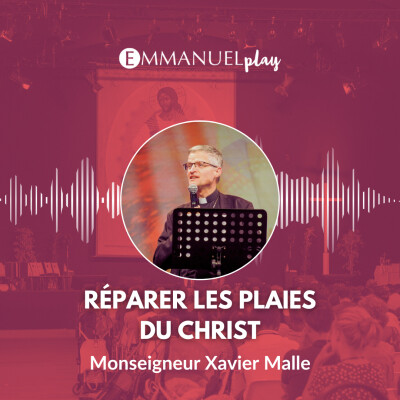 Réparer les plaies du Christ - Enseignement de Monseigneur Xavier Malle cover