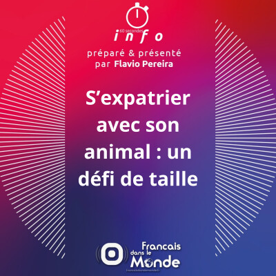 S’expatrier avec son animal : un défi de taille cover