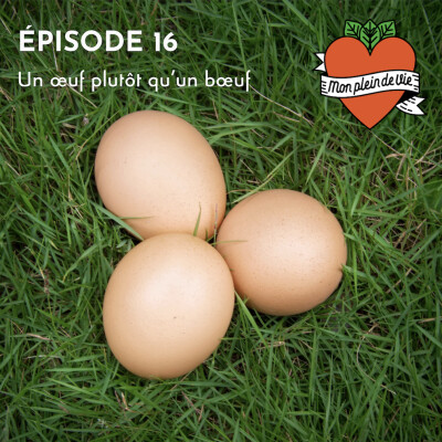 UN ŒUF PLUTÔT QU'UN BŒUF cover