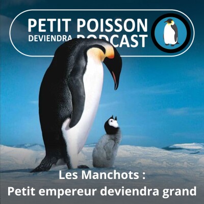 S05E20 Les Manchots : Le film phénomène "La Marche de l'Empereur " (Mathilde Chevallay) cover