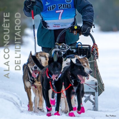 Marie Josée Dulong & Martin Massicotte : A la conquête de l'Iditarod : le livre La piste des braves cover