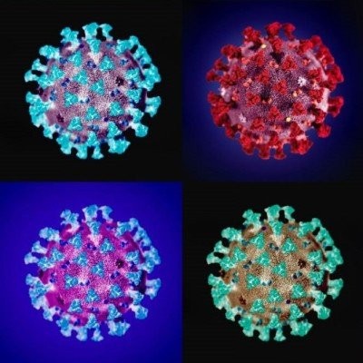 S02E97 Virus et évolution 4/4 : évolution, écologie et pandémies, Samuel Alizon (chercheur) cover