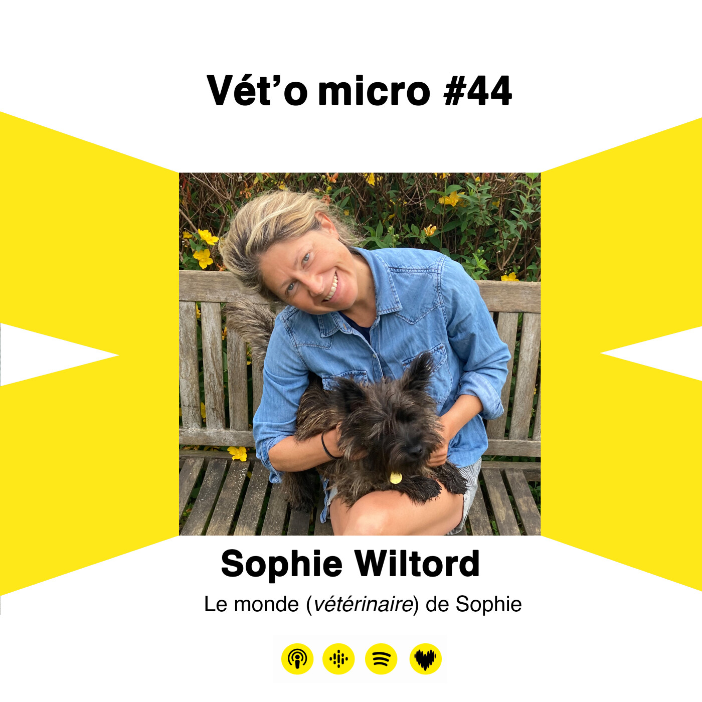 Vet\'o micro