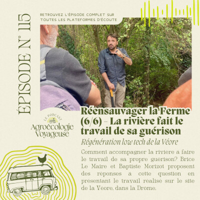 #115 Réensauvager la Ferme (6/6) 💦 La rivière fait le travail de sa propre guérison cover