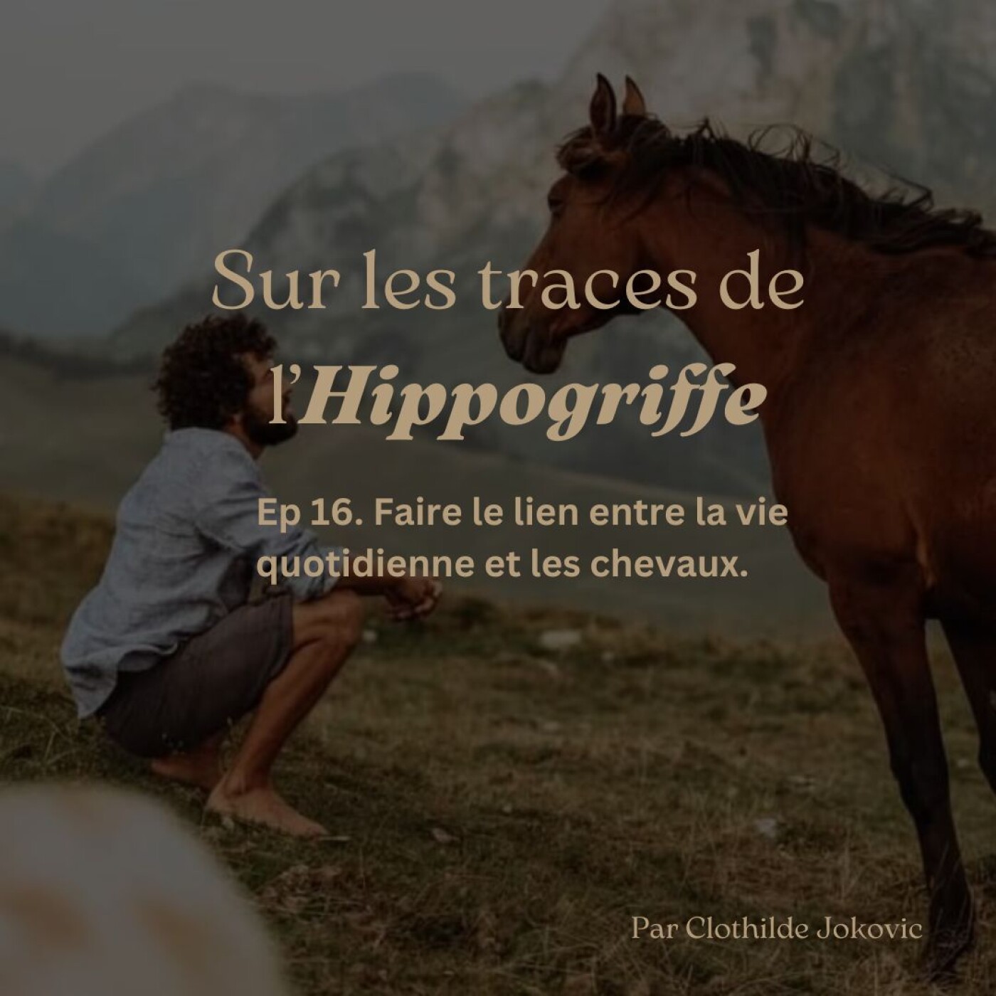 Episode 16. Faire le lien entre la vie quotidienne et les chevaux avec Matthias Geysen