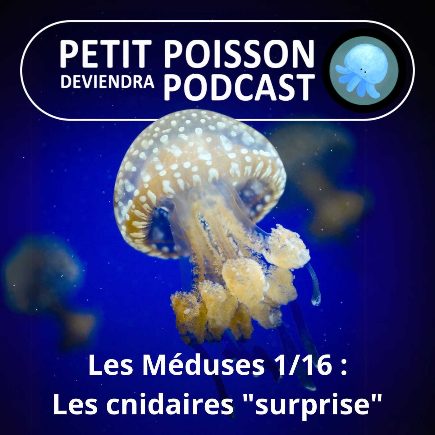 Petit Poisson deviendra Podcast