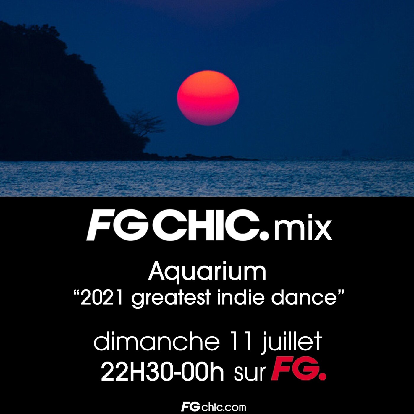FG CHIC MIX AQUARIUM