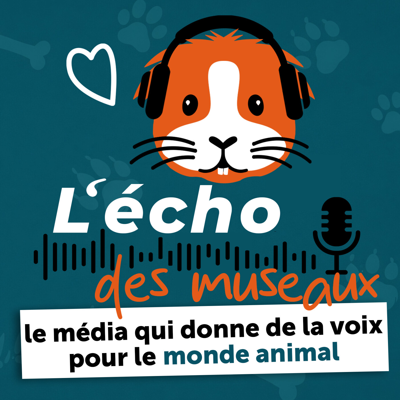 L'écho des museaux podcast artwork