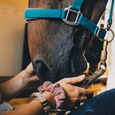 🧘♀️ Les fêtes 🎄 et les cadeaux, recevoir et donner plus aligné 🎁 cover