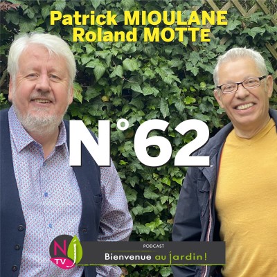 MISSION #62 du 2 juillet 2022 - L'INTEGRALE cover