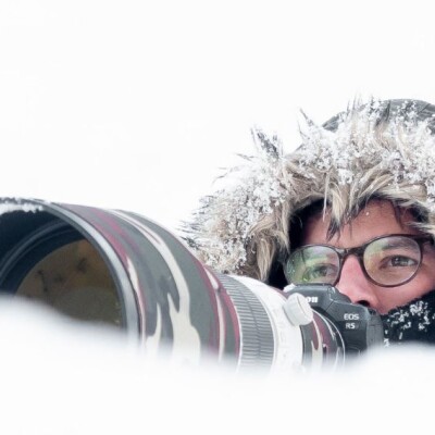 Michel d'Oultremont, à l'affût de l'émotion visuelle cover