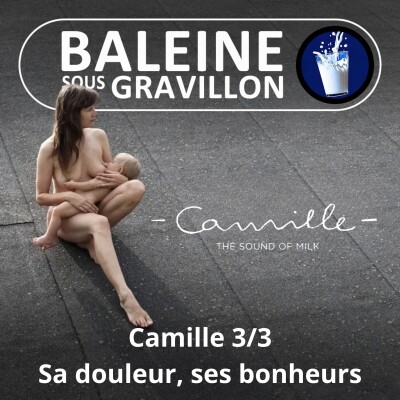 S08E11 Camille... sous le gravillon 3/3 : "Protéger le Vivant : on s'y met quand... vraiment ?" cover