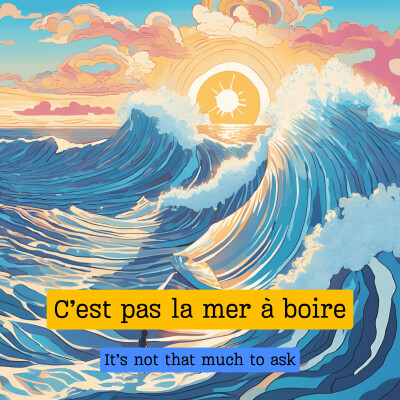 C'est pas la mer à boire cover