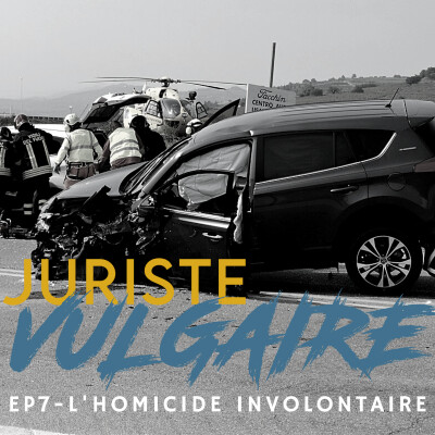 #7 - L'homicide involontaire cover