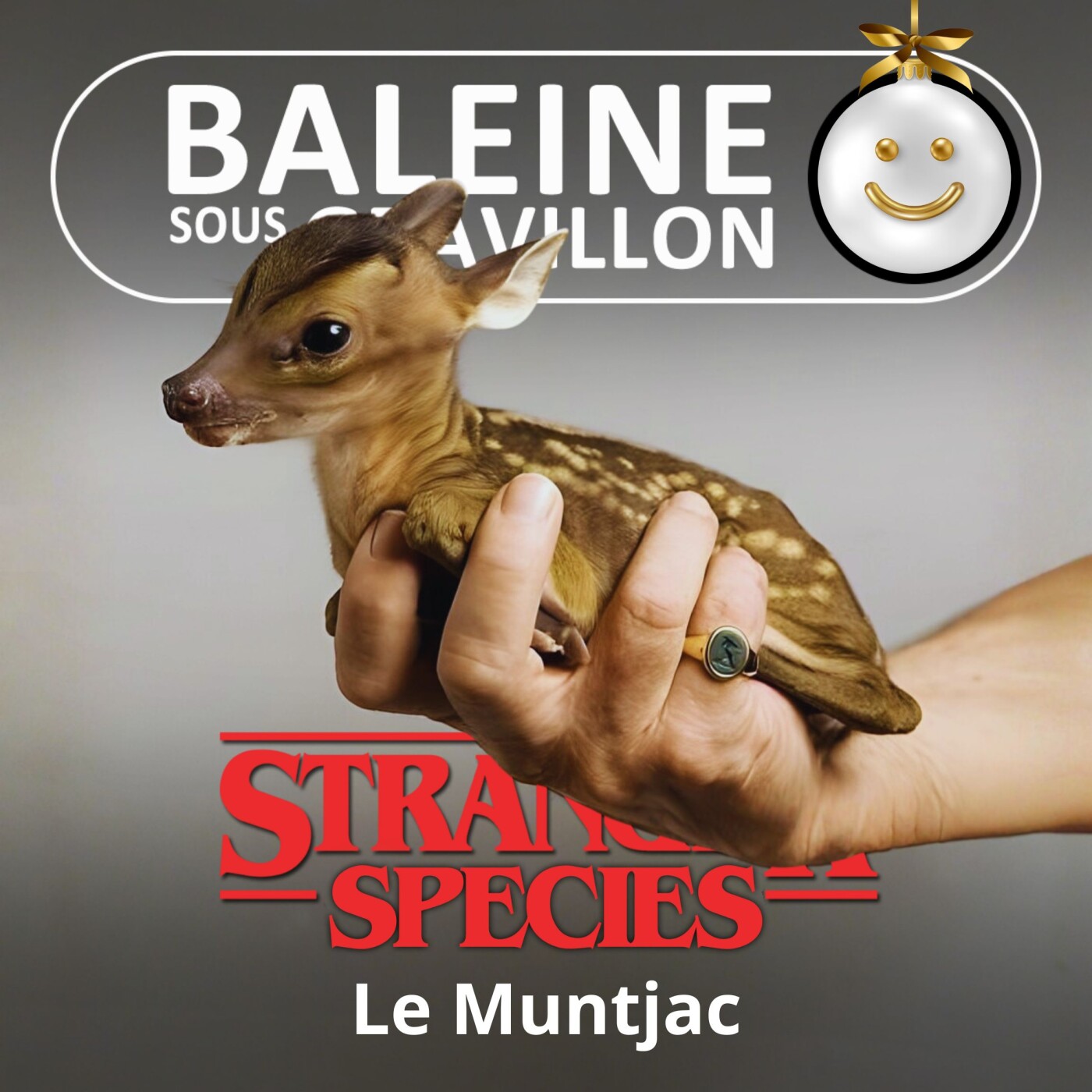 STRANGER SPECIES 12/12 : Le Muntjac aboie, le traineau de Noël passe