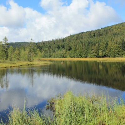 Vosges : top départ pour 70 km de rando ! cover