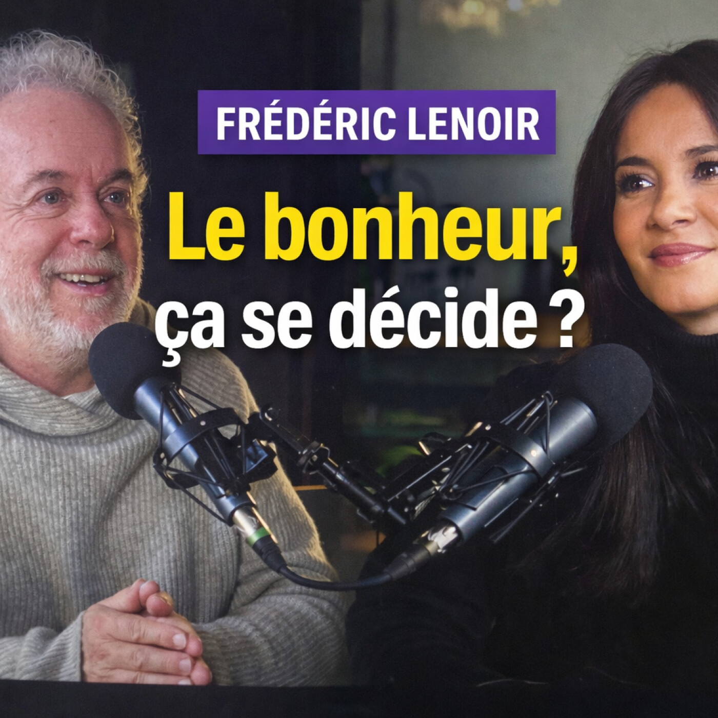 #11 Réussir dans la vie… ou réussir sa vie ? | Frédéric Lenoir episode artwork