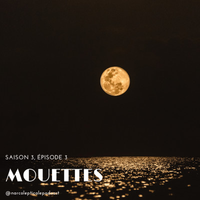 S3E3 - Mouettes cover