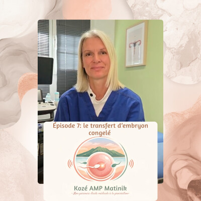 Série 2,épisode 7: le transfert d'embryon congelé cover