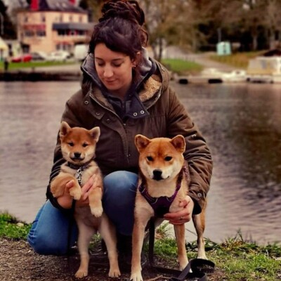 58. Le Shiba Inu : chien fascinant… ou défi du quotidien ?  Rencontre avec Marine, éleveuse passionnée cover