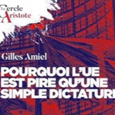 Dans l'Union européenne personne ne vous entendra crier - G. Amiel - # politique cover
