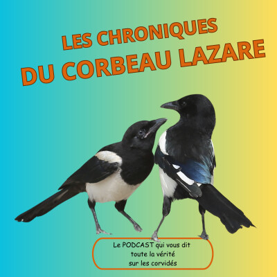 Bébé corbeau ou pie : un besoin vital de ses parents cover