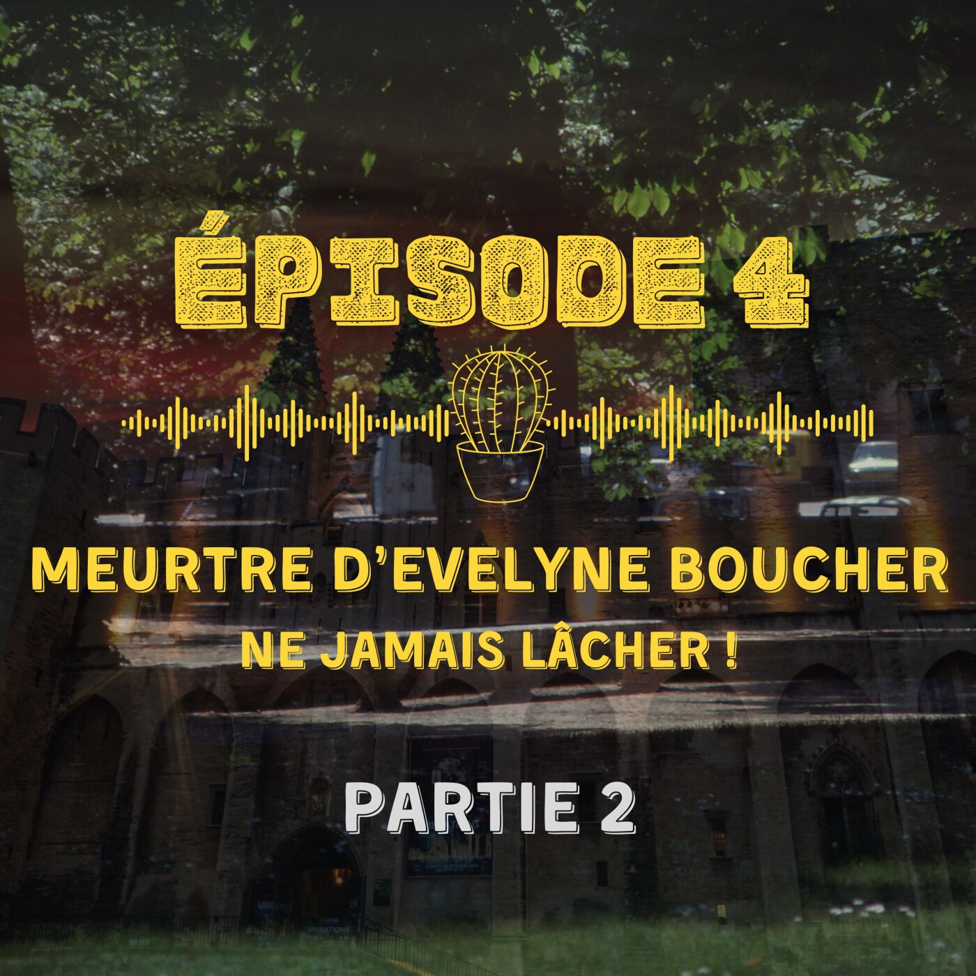 (Partie 2) Meurtre d'Evelyne Boucher : ne rien lâcher ! episode artwork