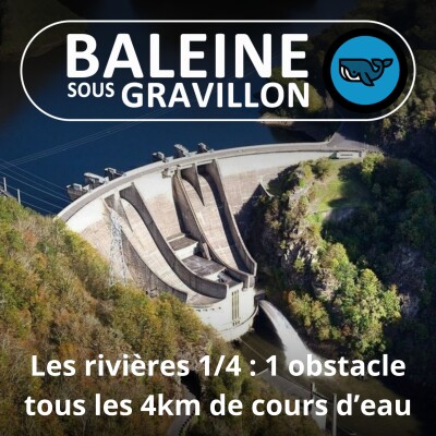HORS-SÉRIE Les rivières 1/4 : 500 000 cours d'eau, 100 000 obstacles ! (une émission du Greenletter Club avec les époux Cochet) cover