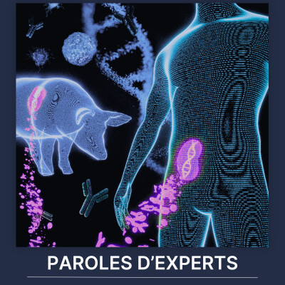 La xénogreffe, une avancée technologique et un nouvel espoir cover