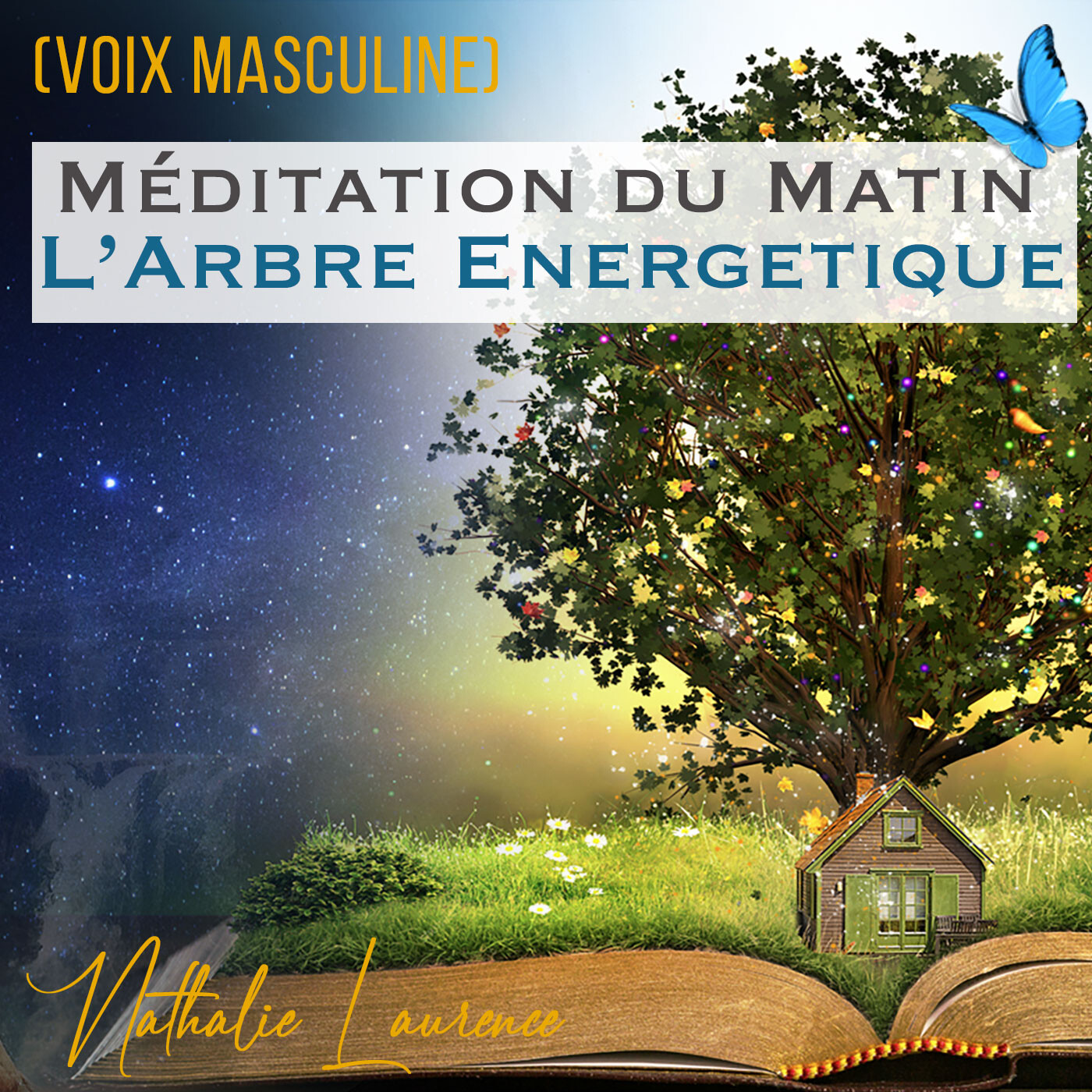 Podcast et Méditations par Nathalie LAURENCE