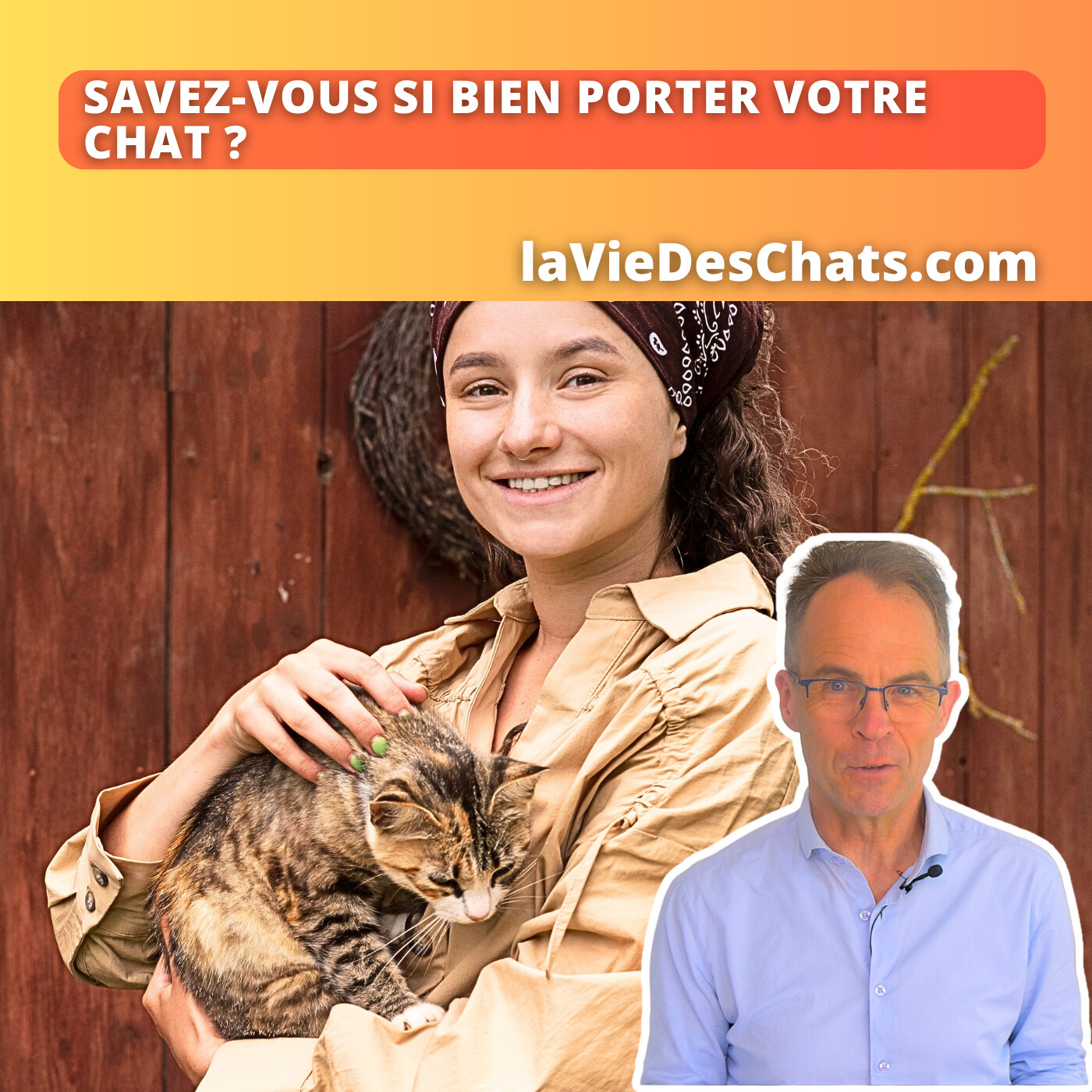 laVieDesChats