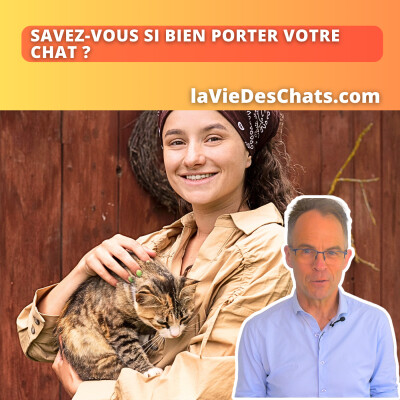 Savez-vous si bien porter votre chat ? cover