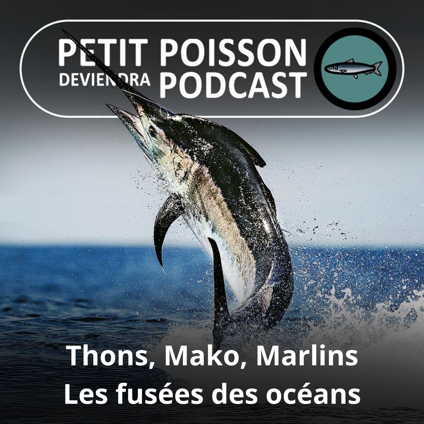S03E36 Thons, Makos, Marlins : Les fusées des océans (Bill François) episode artwork