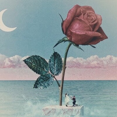 TOVE LO COLLABORE AVEC STROMAE SUR LE TITRE « DES FLEURS » cover