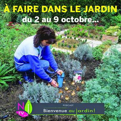 À FAIRE DANS LE JARDIN DU 2 AU 9 OCTOBRE cover