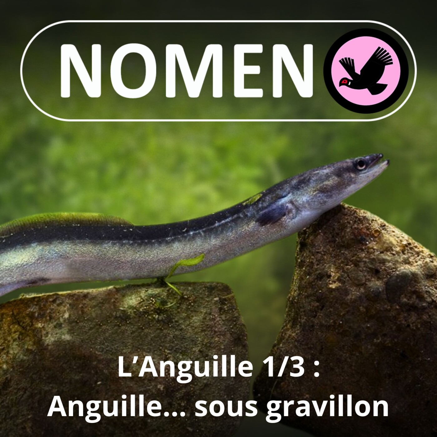 Nomen