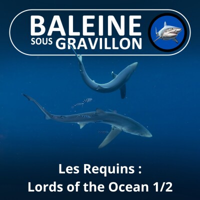 S02E07 Requins, seigneurs des océans 1/2 : De la passion à la protection (Cyrielle Houard) cover