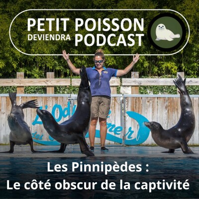 S05E36 : Condamnés à nous divertir, ou la face cachée de la captivité des Pinnipèdes cover