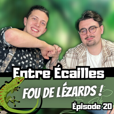 PARLONS LÉZARDS ! (Avec Martin Dagoreau) [Entre Écailles - Ep 20] cover